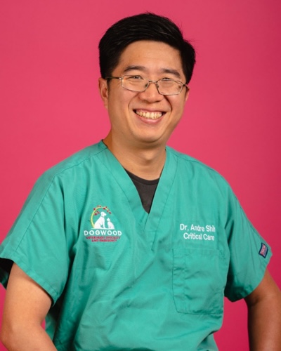 Andre Shih