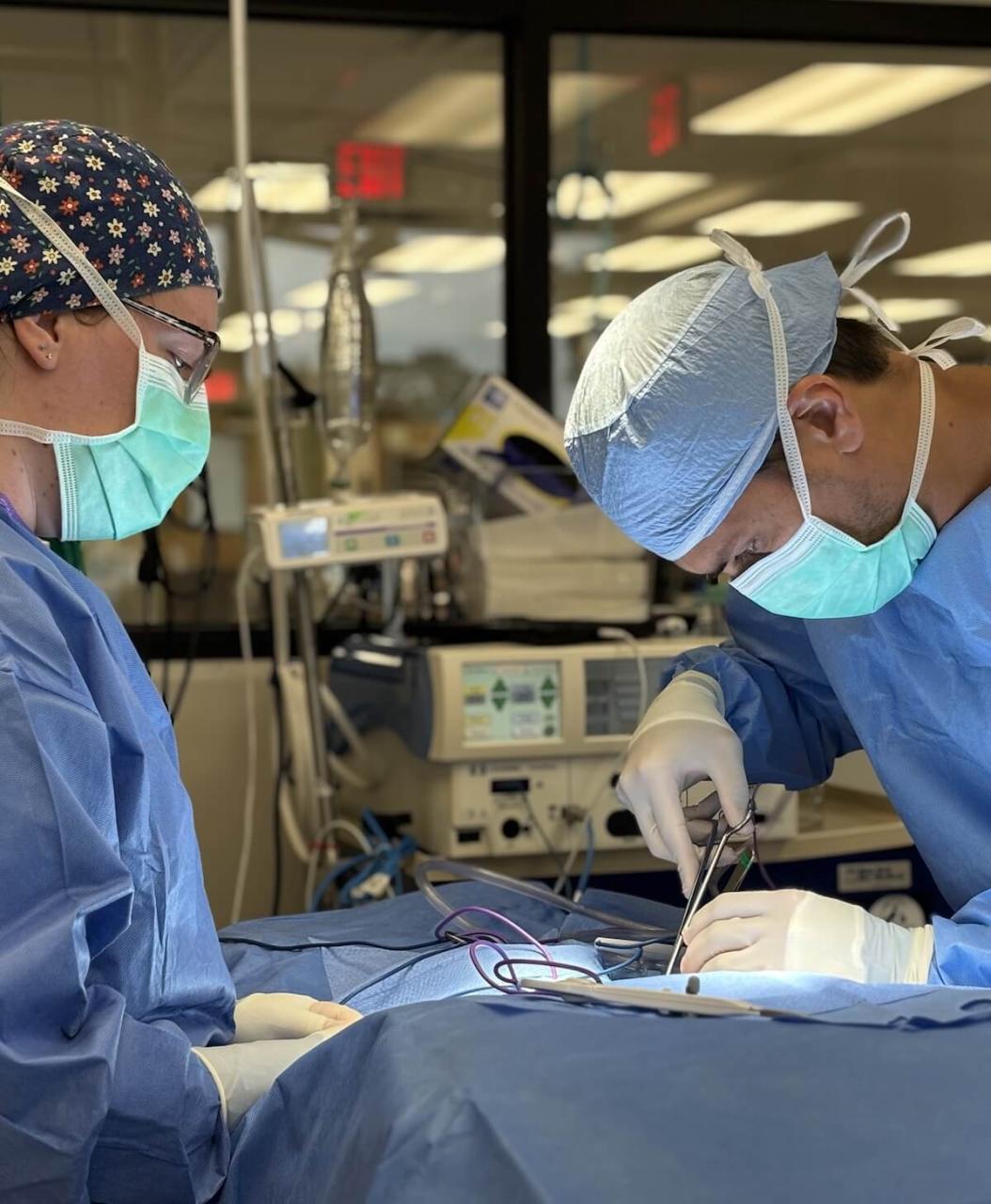 Dogwood Veterinary Specialty and Emergency