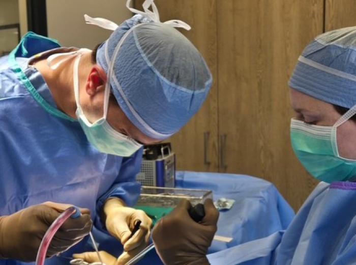 TPLO Surgery for Dogs: What Pet Owners Should Know